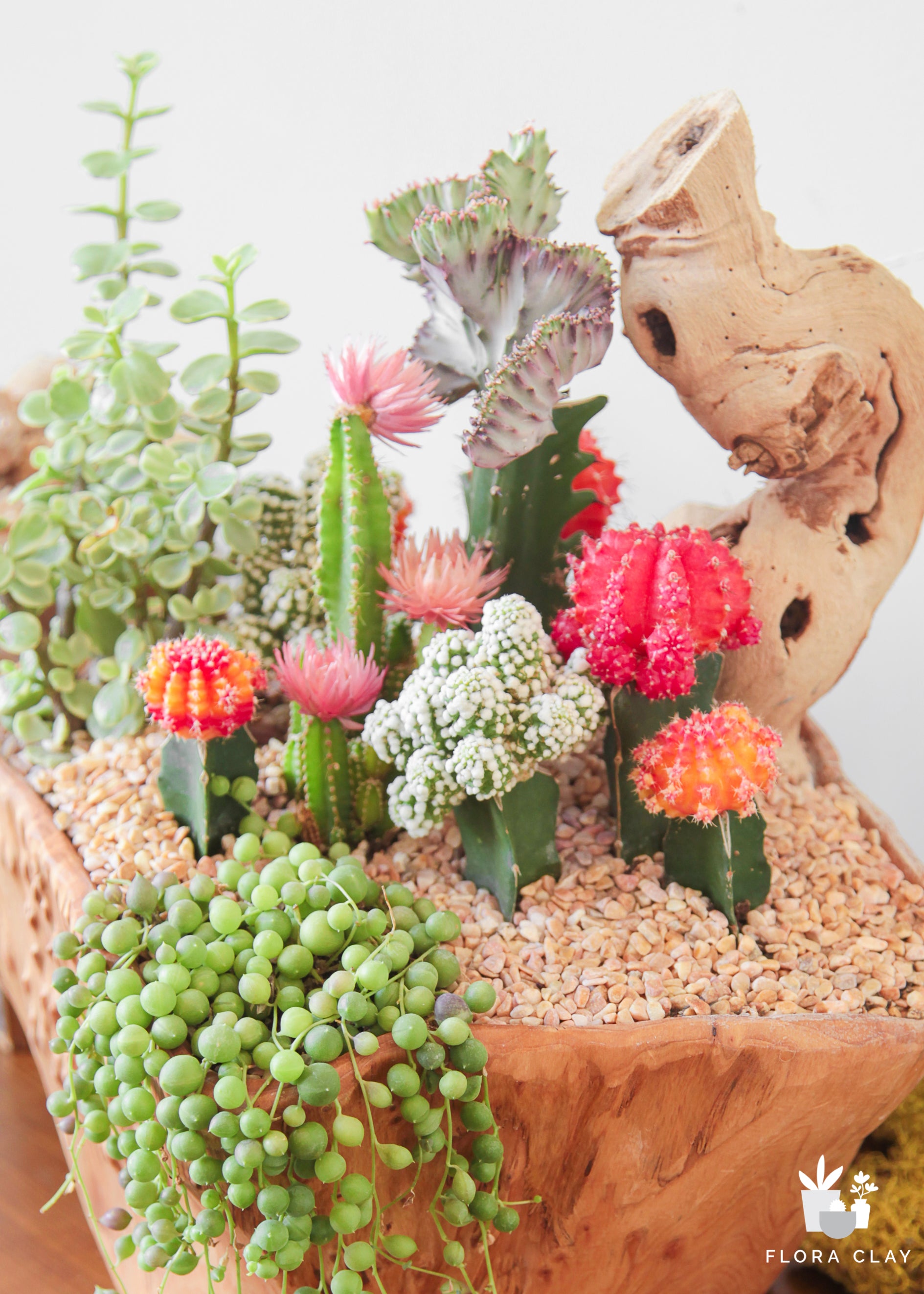 Leca Pebbles  Floral & Gardening Supplies – FLORA CLAY