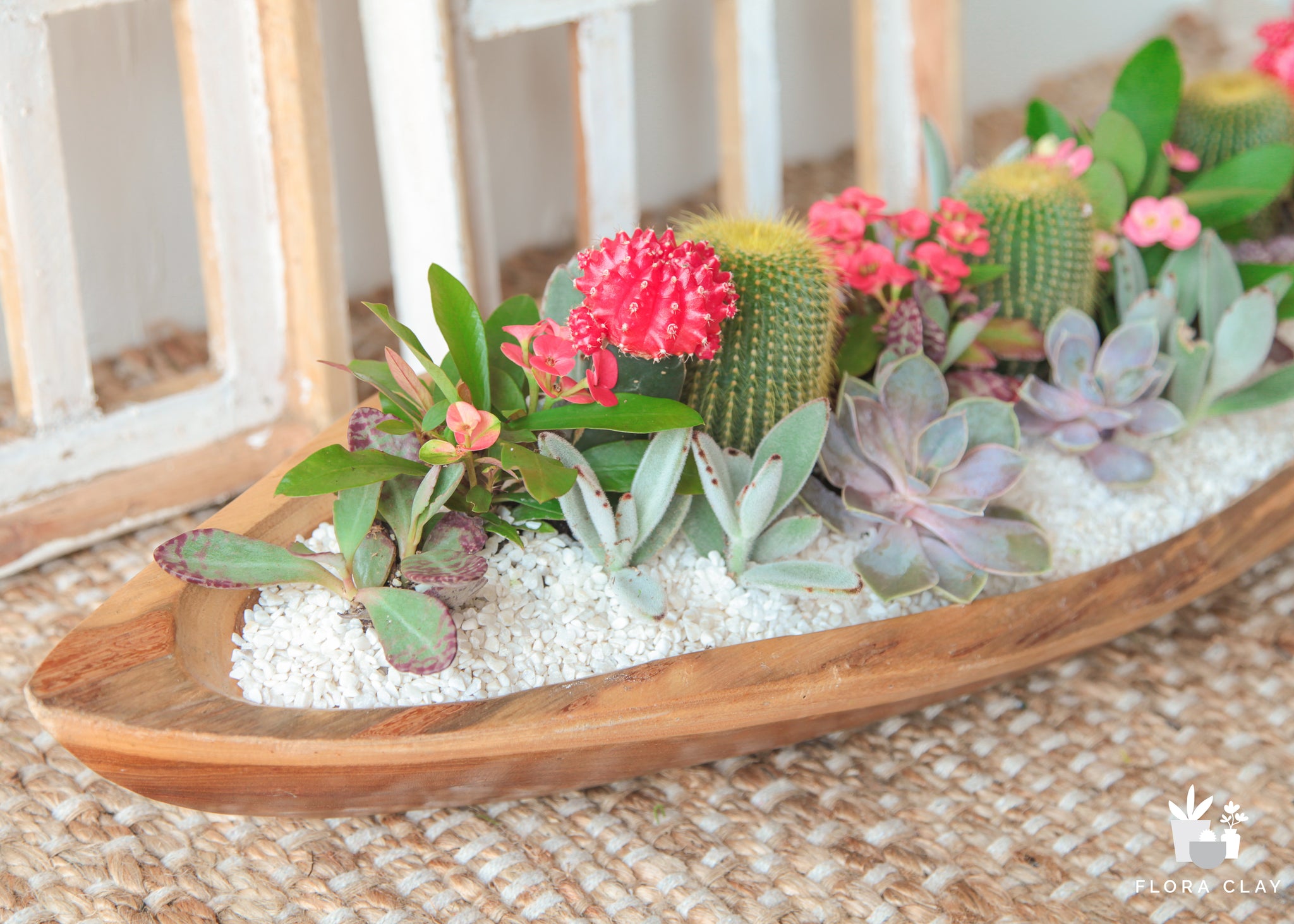 Victoria | Cactus & Succulent Arrangements – FLORA CLAY