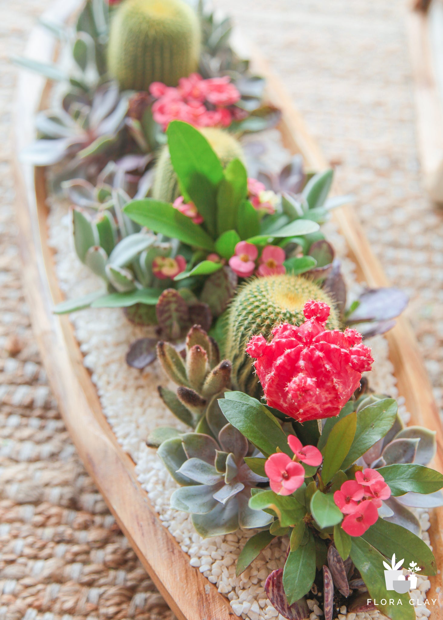 Victoria | Cactus & Succulent Arrangements – FLORA CLAY