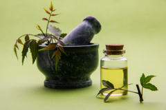 "The 11 best reasons to use neem oil"