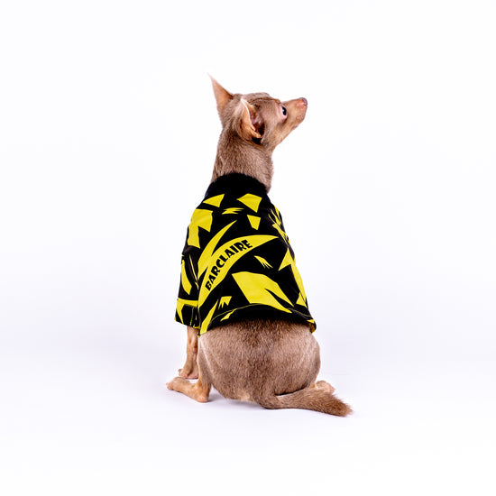 dog yellow shirt