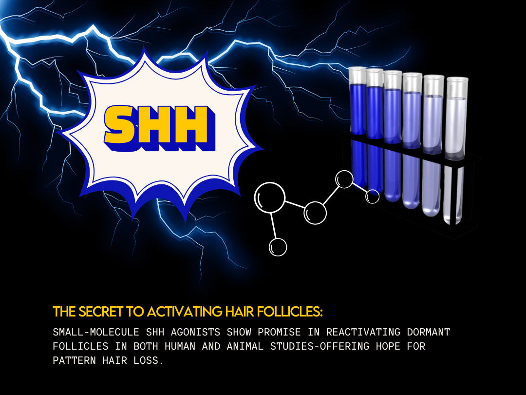 SHH (The sonic hedgehog gene) The secret to activating hair follicles