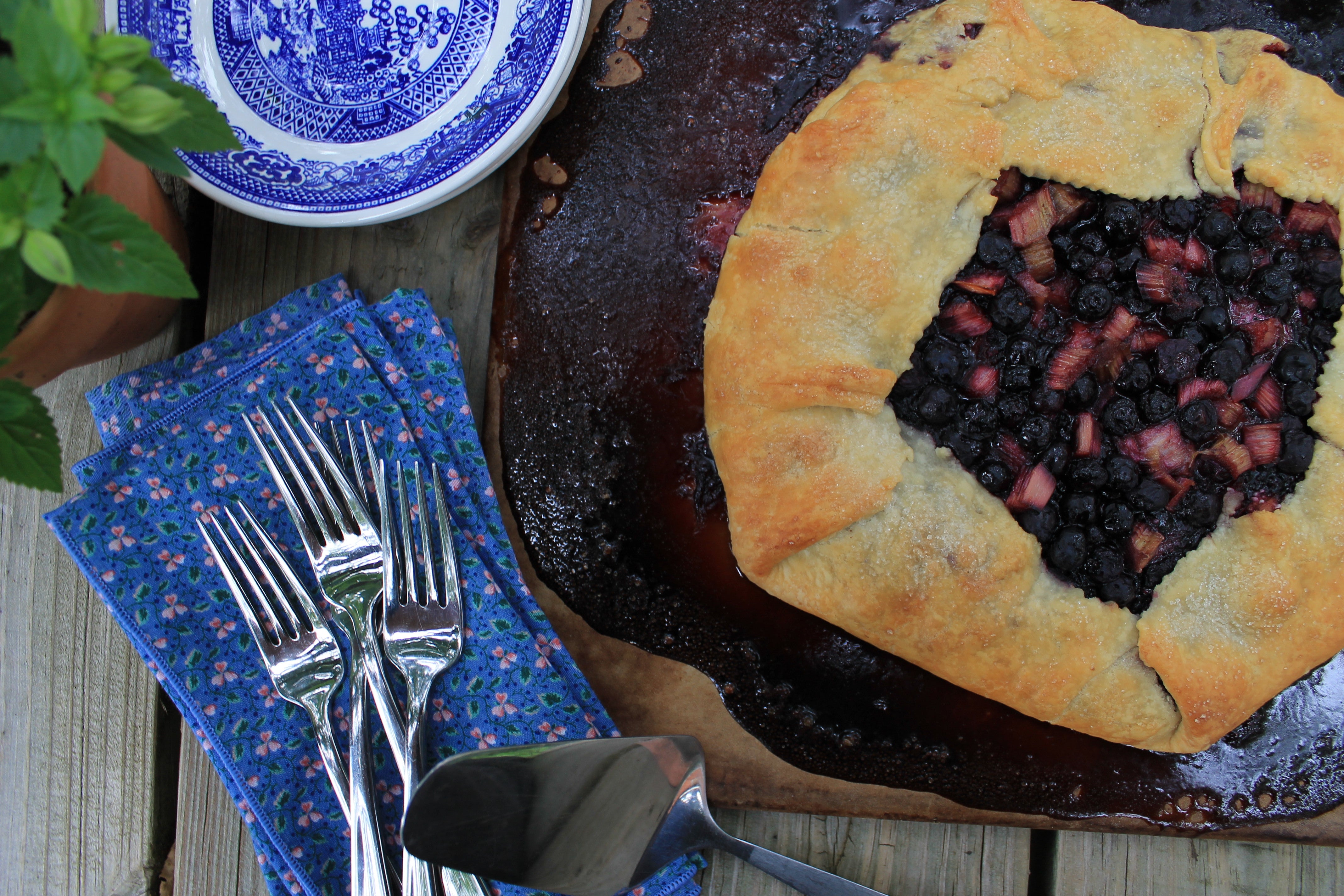 red root and co blueerry rhubarb galette