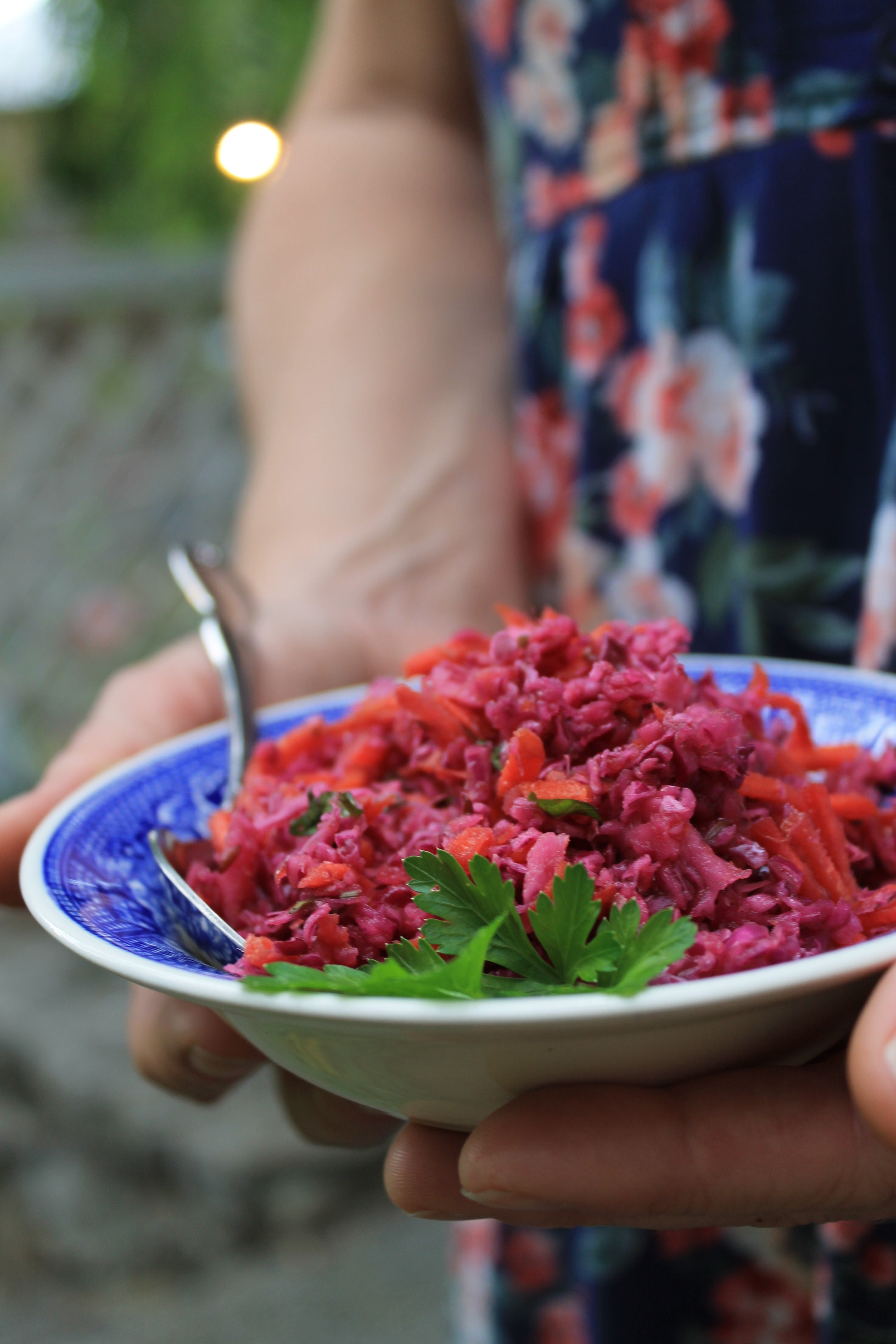 red root and co red cabbage salad slaw recipe