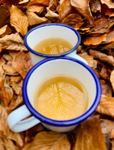Hot Toddy Recipe Red Root & Co