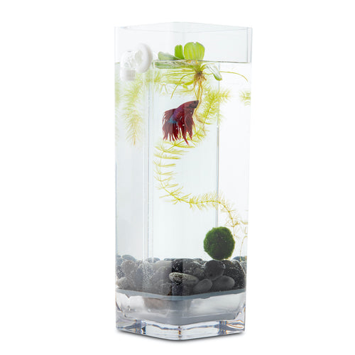 1 Artificail Marimo Moss Ball Weighted Aquarium Decoration 