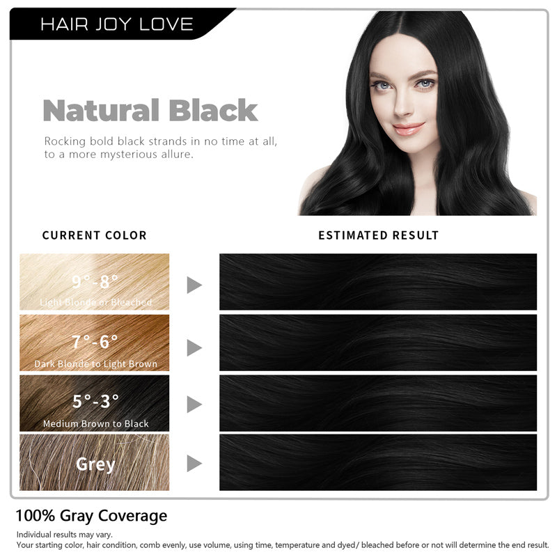 HJL Hair Joy Love New comb applicator design Permanent Hair Dye Hair Color  Comb Natural Black color