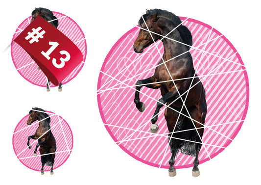 Bügelbilder Set - #13 - Pferd Pink