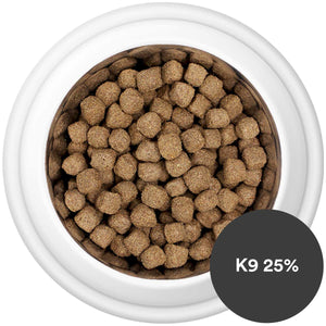 what is the shelf life of dry dog food