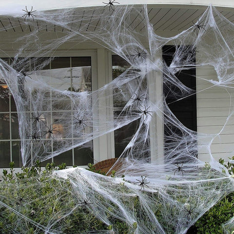 Spiderweb Wall