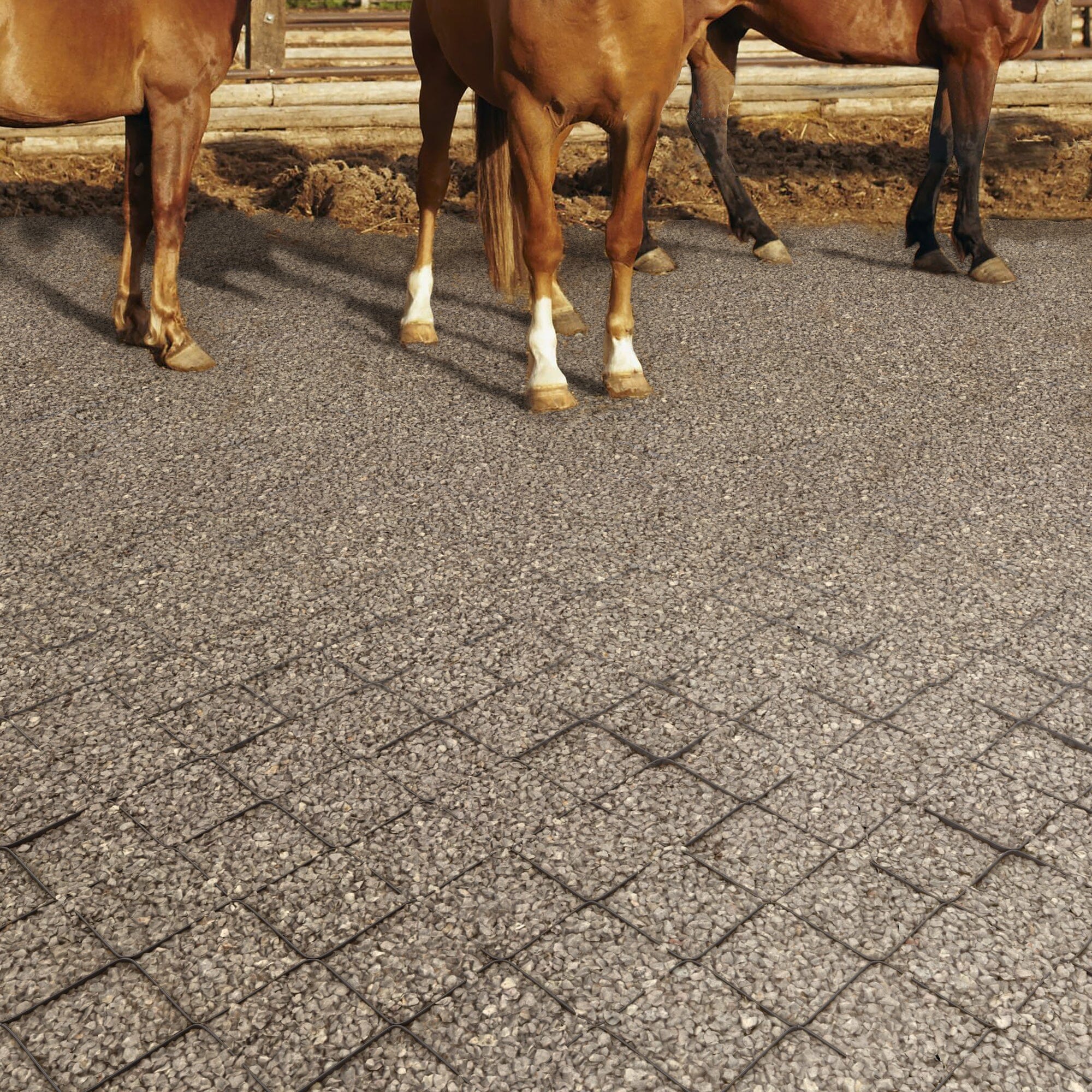 GridX Permeable Paving Solutions