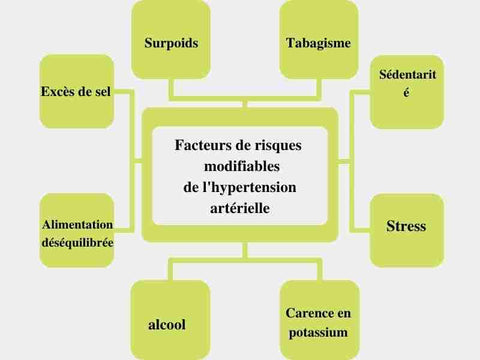 Hypertension et facteurs de risques modifiables : règles hygiéno-diététiques