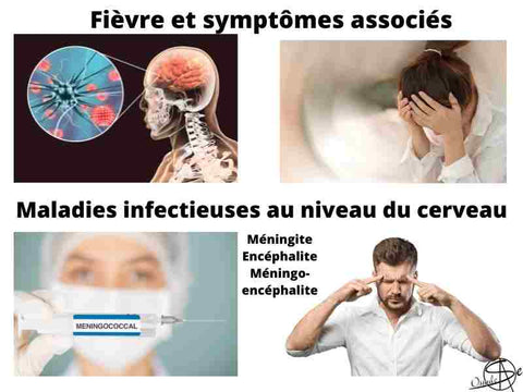 Quels symptômes associés à une fièvre sont caractéristiques d'une maladie infectieuse au niveau du cerveau ?