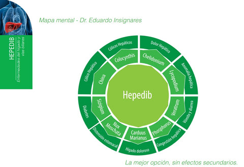 Principes actifs de l'Hepedib ou Carduus marianus