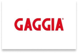 gaggia home machine parts