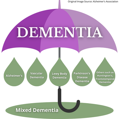 Understanding Dementia 