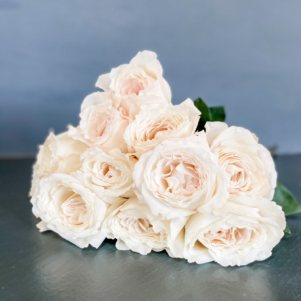 David Austin English Garden Roses - Juliet in Light Peach