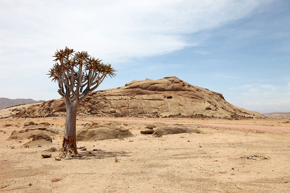 Namibia’s dessert