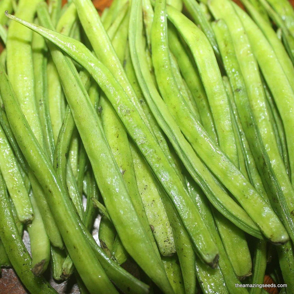 Cluster beans