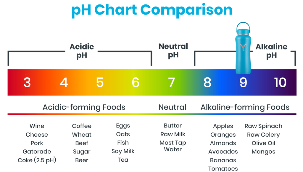 Acid V Alkaline Food Chart