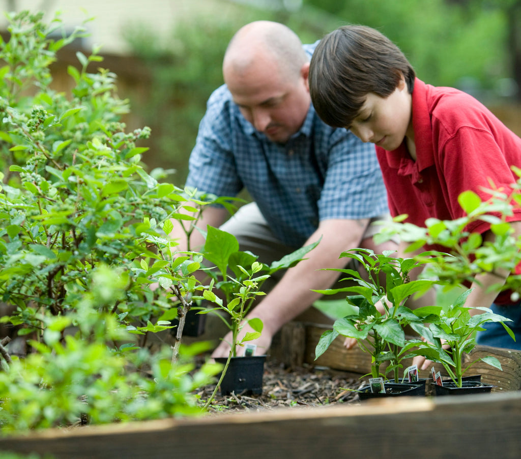 jardinage de famille