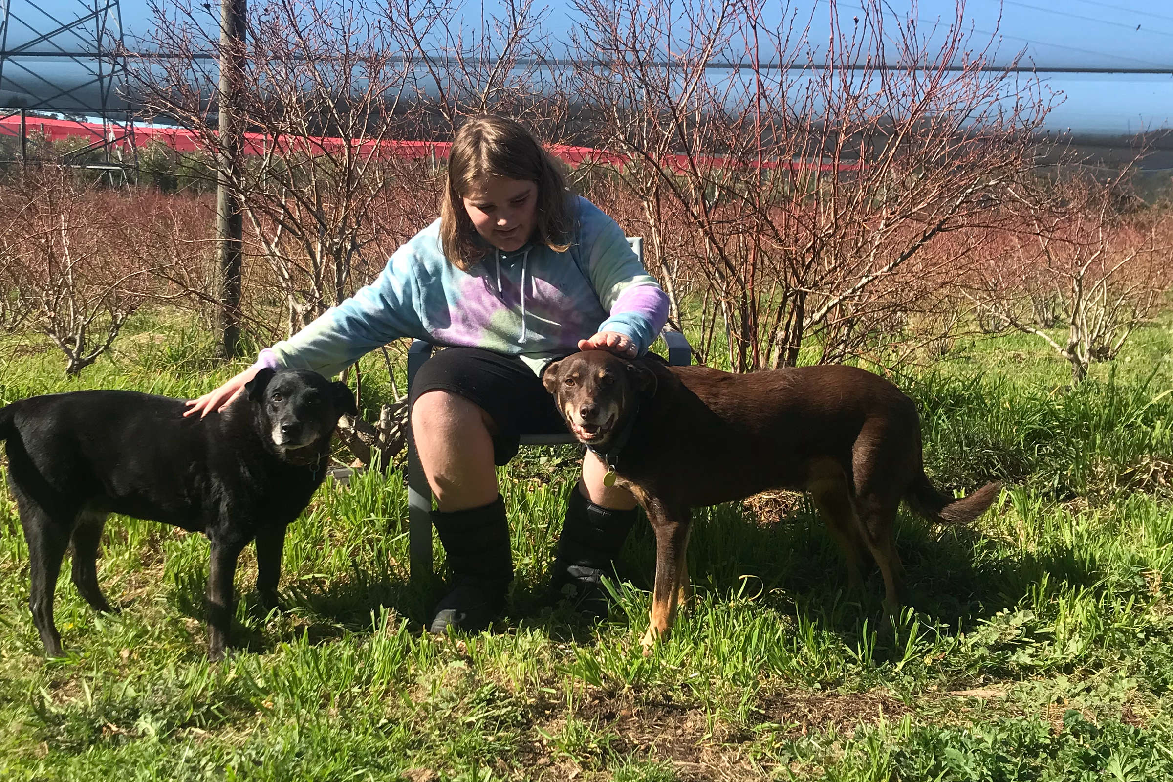 Callum with two dogs, Ebony and Mr Leroy Brown.