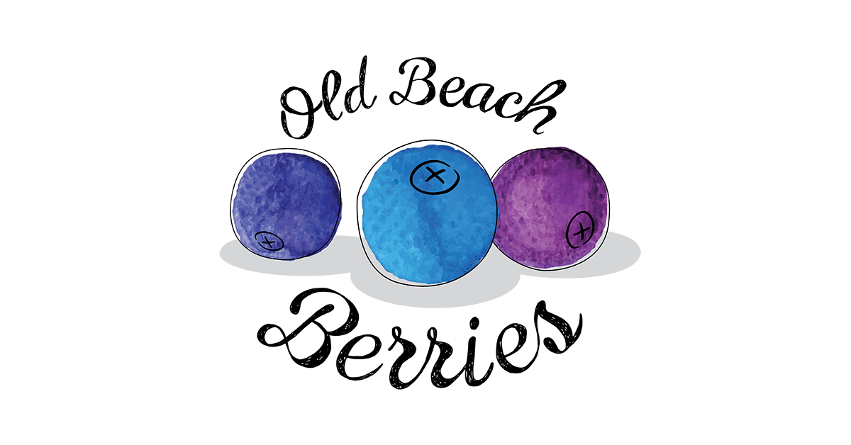 Old Beach Berries