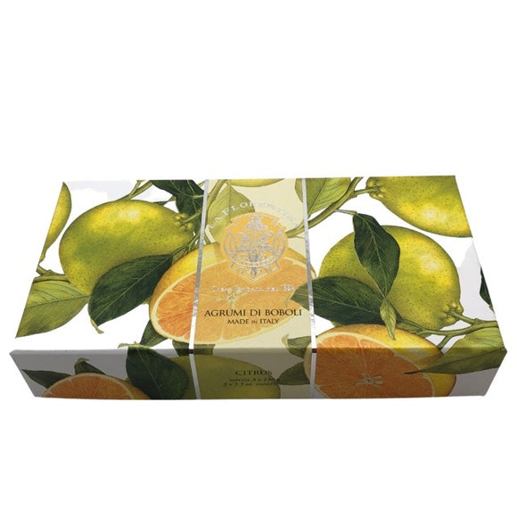 Gift boxed 3 soap - Agrumi di Boboli – Casa Mondella