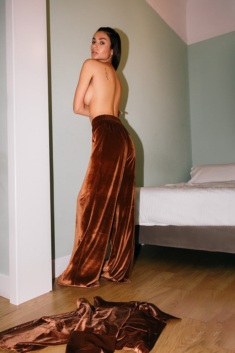 Venina Velvet Brown Pants – Reveal11