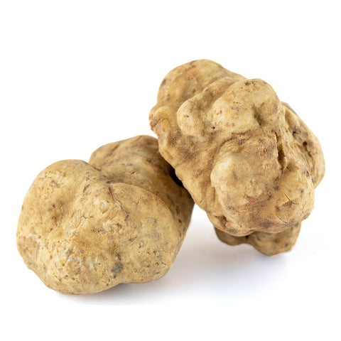 Buy White Truffle