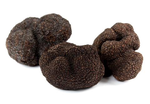 First Black Truffle