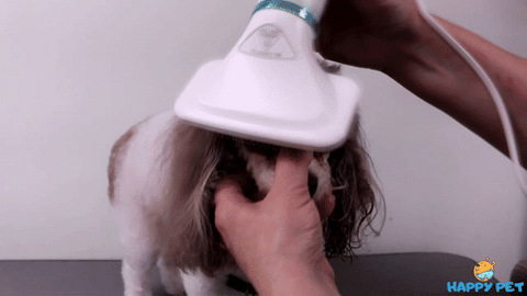 Secador Cepillo de Pelo para Mascotas 2 en 1 – Zupet Pet Shop