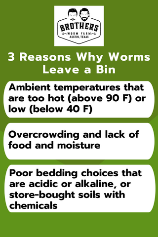 worm bin problems, worms leaving the worm bin, why worms leave a bin, worm farm problems