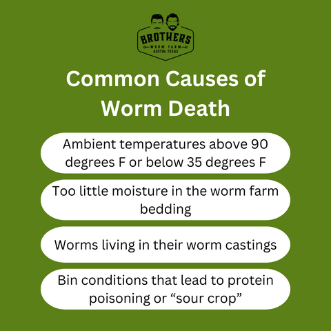 why are my worms dying, why do worms die, worms dying in worm farm, causes of worm death