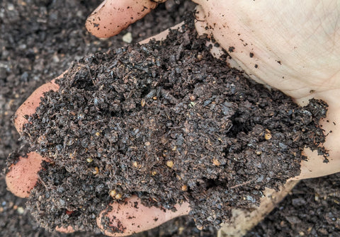 compost, what do worms eat, how to start a worm farm