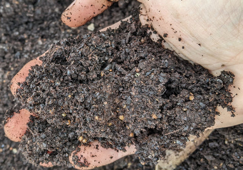 1000 Red Composting Worm Mix - Uncle Jim's Worm Farm