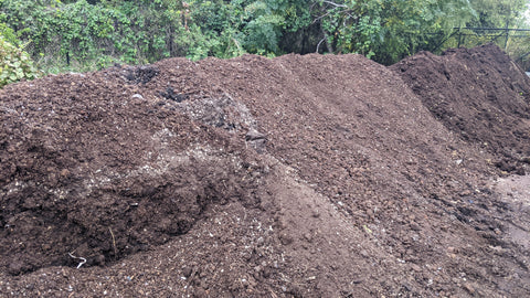 compost pile, adding worms to a compost pile