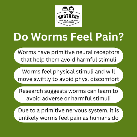do worms feel pain, summary of do worms feel pain