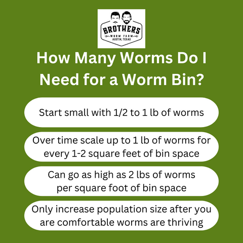 how many worms do I need for a worm bin