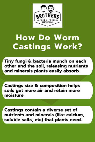 how do worm castings work, why worm castings work, how to use worm castings