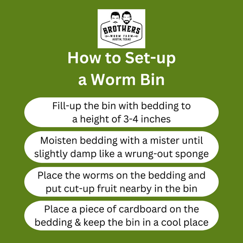how to set-up a worm farm, steps to set-up a worm farm