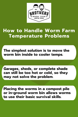 worm farm probems, whay are my worms dying, worms dying temperature, worms too hot, worms dying too cold