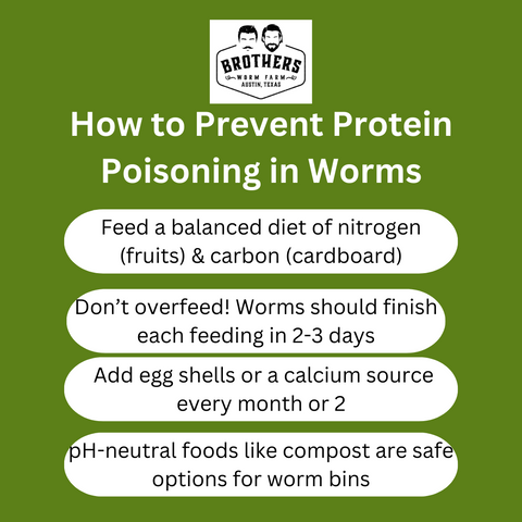 how to prevent protein poisoning in worms, prevent protein poisoning in worm bins