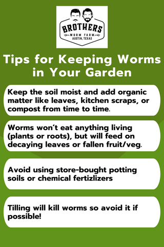 how to keep worms in your garden, adding worms to your garden