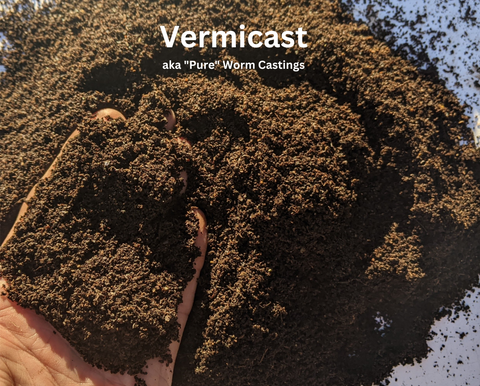 what are worm castings, what do worm castings look like, what are pure worm castings, vermicast