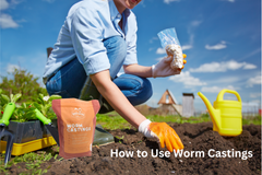 how to use worm castings, how to apply worm castings