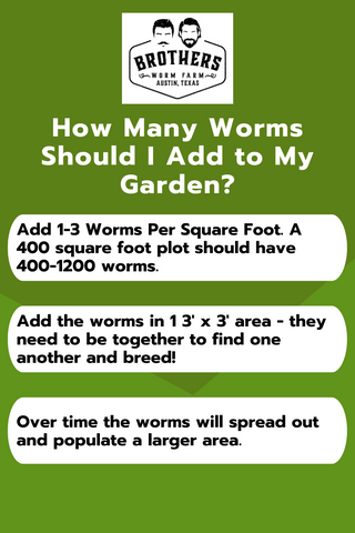 how many worms to add to my garden, how may earthworms should I add to my garden, number of worms to add to garden