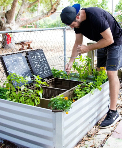 outdoor worm composting, composting with worms outside