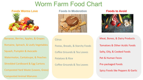 worm farm food chart, what to feed your red wigglers, foods to avoid for your compost worms