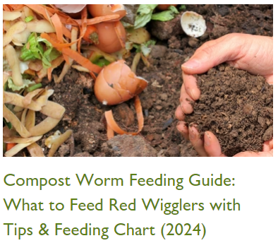 worm feeding guide, what do worms eat, what do red wigglers eat